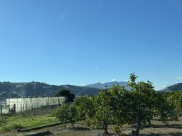 142-30-12-2025 IMG_3326